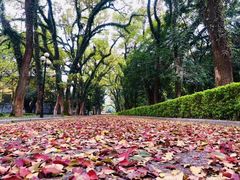 -桂林独秀峰王城景区