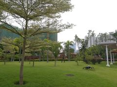 -荔湾区儿童公园