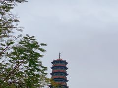 -红花山公园