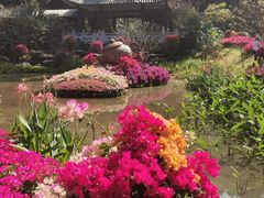 -广州市白云山风景名胜区