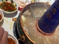 -董记老清泉·鲜切涮羊肉(窑岭店)