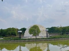 -上海吴淞炮台湾国家湿地公园