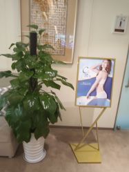 -Yestar艺星医疗美容医院