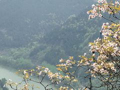 -舒家湾天主教堂