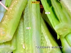 -猫员外精酿啤酒馆(壹海城店)