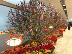 -翠华餐厅(香港国际机场店)