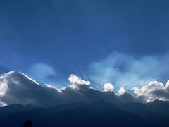 -喵屿·大理花园猫咖