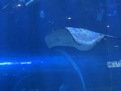 -华夏文旅西安度假区