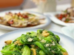 海米油菜-来之顺海鲜菜馆·青岛菜·始于1993(栈桥店)