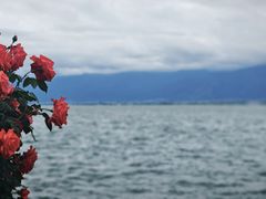 -南诏风情岛