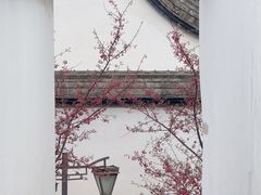 -乌山风景区