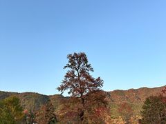 -塔川景区