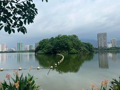 -飞来湖湿地公园