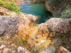-南海湾森林生态园