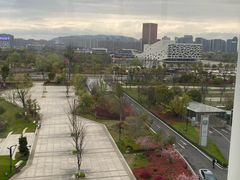 -临平南高铁站(地铁站)