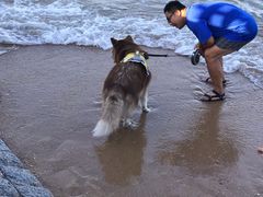 -日照灯塔风景区
