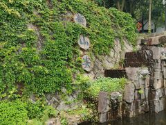 -千岛湖东南湖区