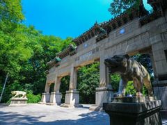 -紫金山山顶公园