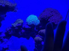 -上海海昌海洋公园