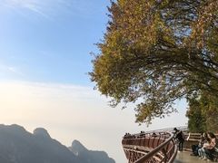 -少华山国家森林公园