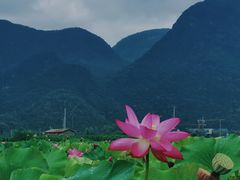 -普者黑风景区-青龙山