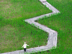 -长田漾湿地公园
