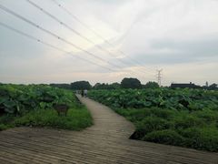 -梁鸿国家湿地公园