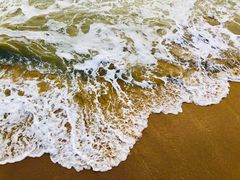 -八婆婆烧仙草(中山路店)