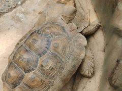 -辛玛王国游乐园