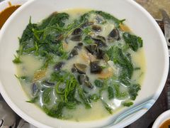 -鸽鸟轩(石岐店)