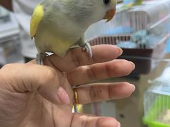 -三旗百汇商品城