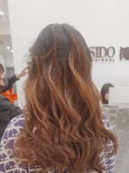 -YESIDO椰岛造型
