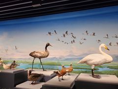 -四川大学博物馆