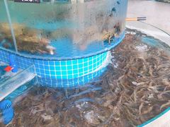 -蓝珊甄选海鲜自助·火锅大排档(近阿那亚店)