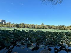 -长春市南湖公园