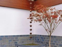 -成都市活水公园