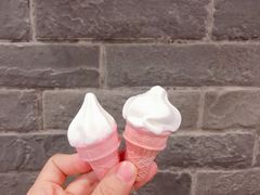 -麦当劳(皇岗路店)