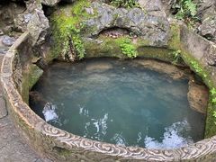 -龙井壹号·茶缘山景宴(龙井村店)