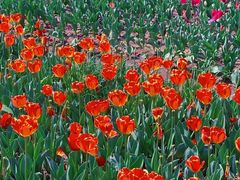 -玄武湖景区-情侣园游乐场