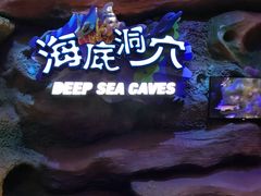 -青岛嘉年华主题乐园