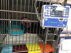 -奈斯宠物医院·核磁CT·异宠专科·内镜(中南店)