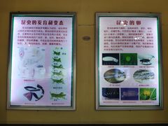 -上海昆虫博物馆