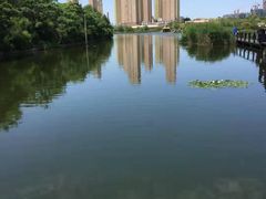 -前关湿地公园