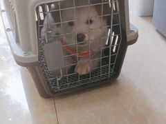 -宠颐生汉谟拉比宠物医院