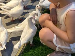 -狮子山(地铁站)