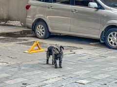 -汪记鲜鱼糊汤粉(沈阳路总店)