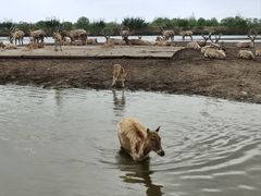 -宁波杭州湾国家湿地公园