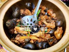 -食爺炭炉鸡煲·烧烤