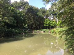 -云溪植物园
