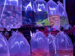 -华声天桥民俗文化园